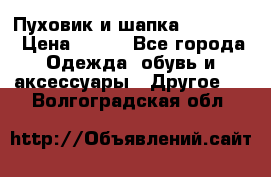 Пуховик и шапка  Adidas  › Цена ­ 100 - Все города Одежда, обувь и аксессуары » Другое   . Волгоградская обл.